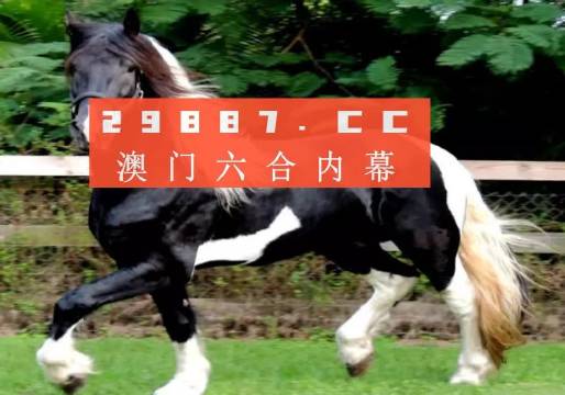 今晚澳门必开一肖一特的全面释义、解释与落实、构建解答解释落实